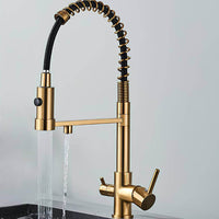 Küchenhahn, Auszugsbrause, Gefiltertes Wasser