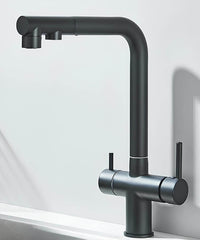 3-in-1 Filterhahn mit Brause