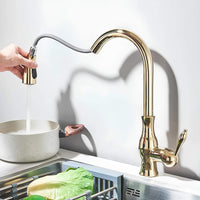 Küchenhahn mit Auszugsbrausekopf