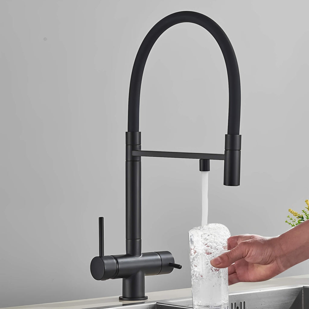 Schwarzer Küchenhahn mit Brause und Gefiltertem Wasser