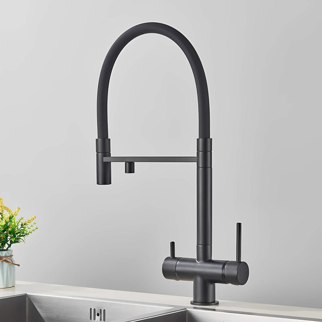 Schwarzer Küchenhahn mit Brause und Gefiltertem Wasser