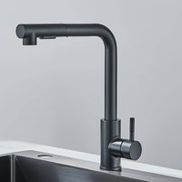 Einziehbarer Brausehahn, Schwarz